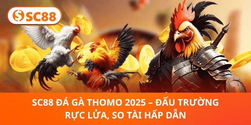 SC88 Đá Gà Thomo 2025 – Trận Đấu Hấp Dẫn, Chiến Kê Lên Ngôi